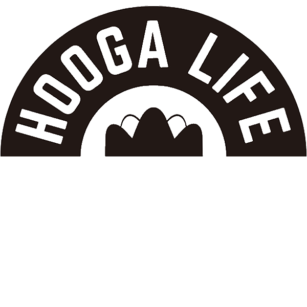 Amazon.com: HoogaLife Car Air Freshener Diffuser 2 Pack Hanging Air Freshener Diffuser - Pink Sparkle Champagne Fragrance Oil Air Diffuse r for Car, 45+ Days Long Lasting Fragrance Made in USA (P38) : Automotive