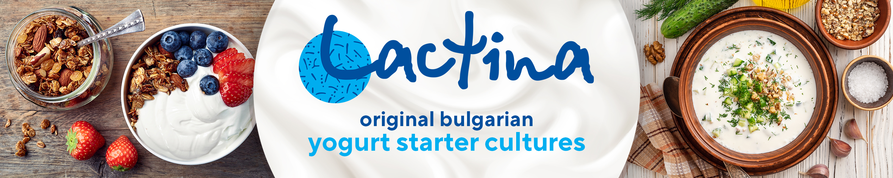 Lactina yoghurt starters Probiotic