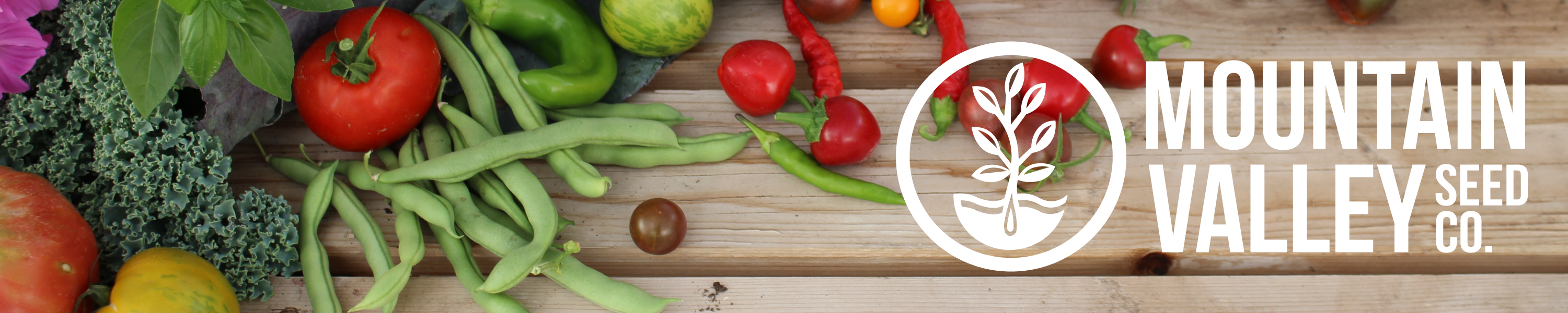 Mountain Valley Seed Company