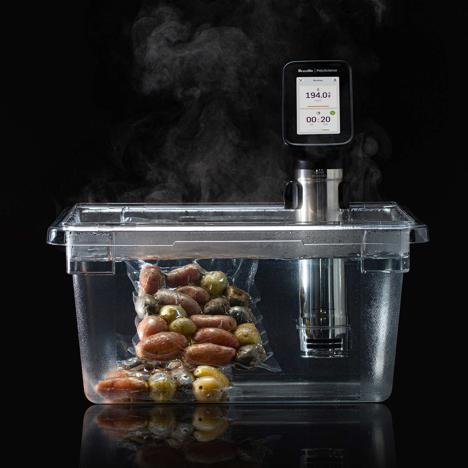 Breville PolyScience Sous Vide