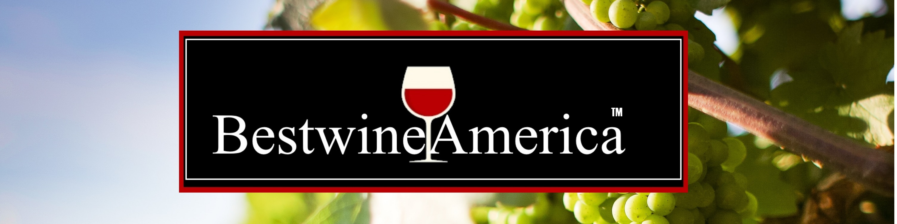 Amazon.ca BestwineAmerica Miracle wine (add sugar)