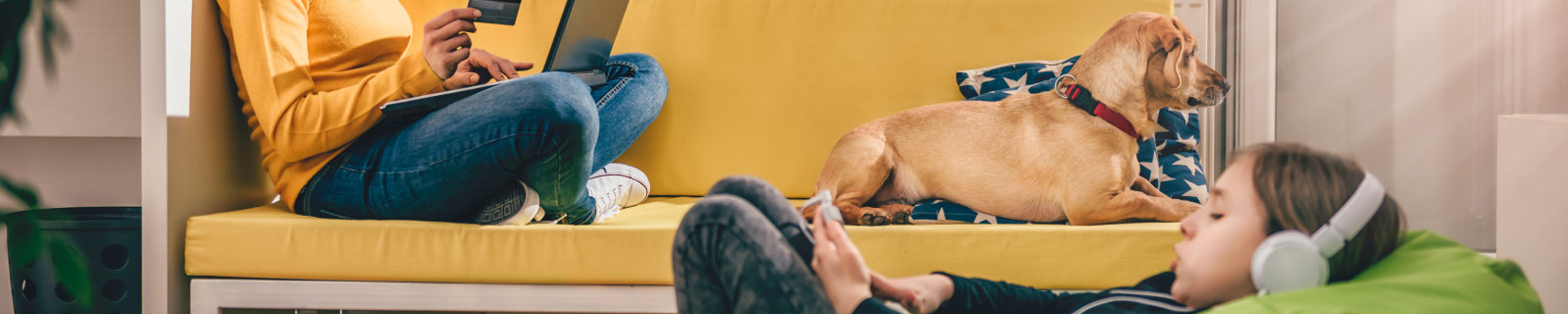 PaiPaitek CAT SHOCK COLLAR