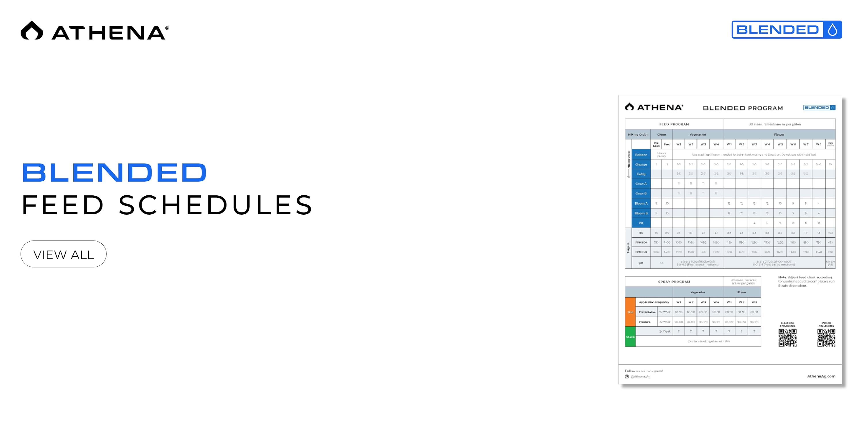 Athena Feed Schedules