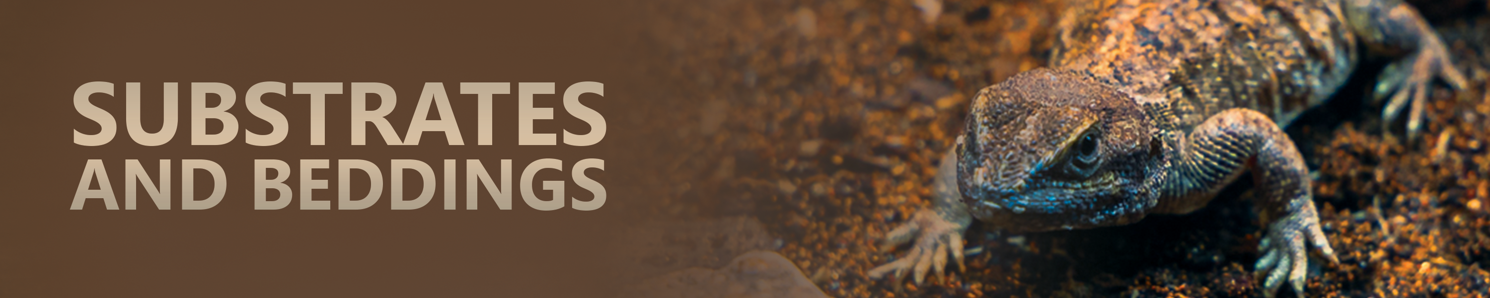 Josh's Frogs For Tortoises and Terrestrial Turtles