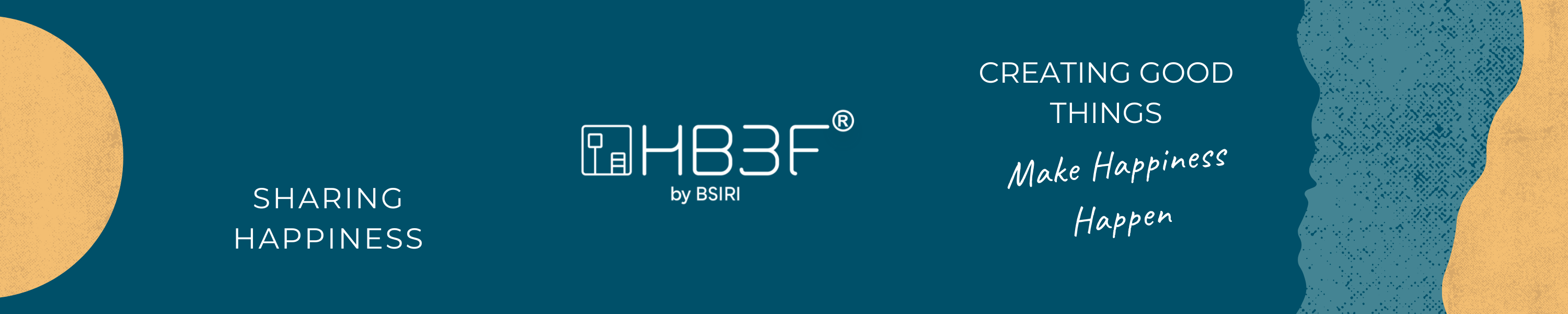 HB3F by BSIRI Brain Teaser Puzzle