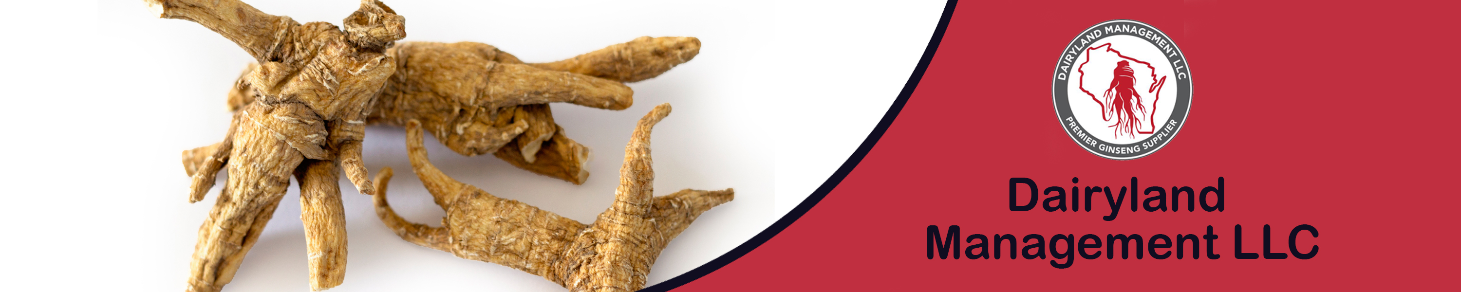 Dairyland Management LLC Ginseng Roots