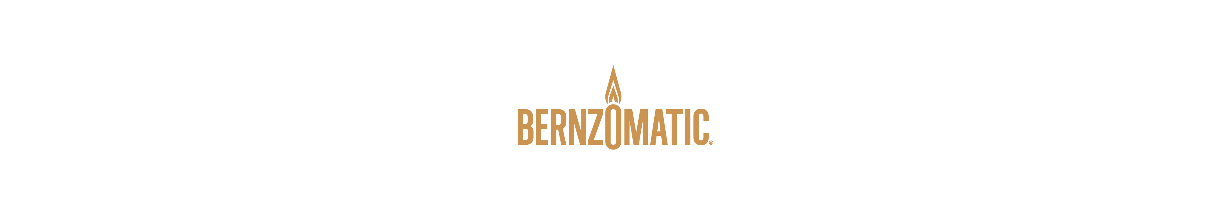 Amazon.com: Bernzomatic