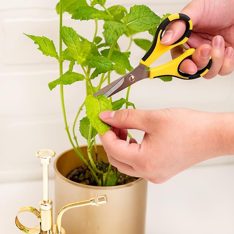 Ek Tools Scissors and Scoring Tools