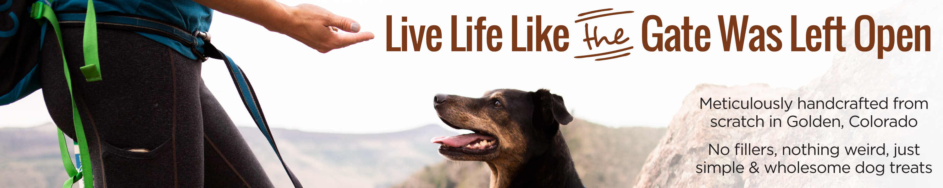 Smart Cookie Barkery