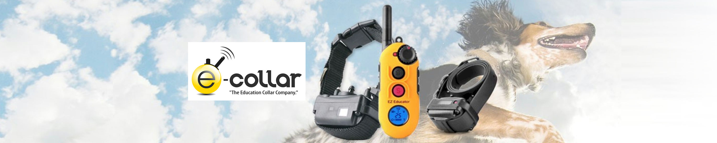 ECollar Educator Dog Training Collars Buying Guide