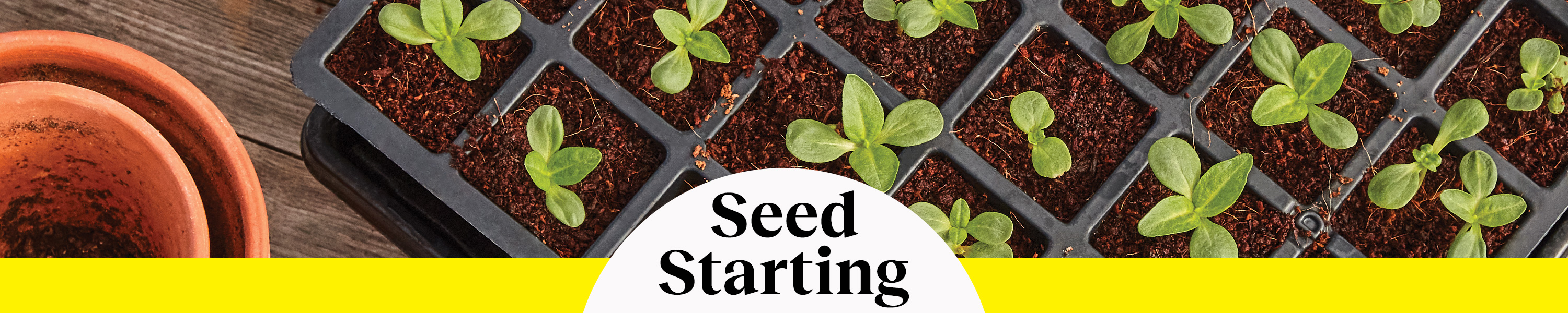 Burpee Seed Starter Kits
