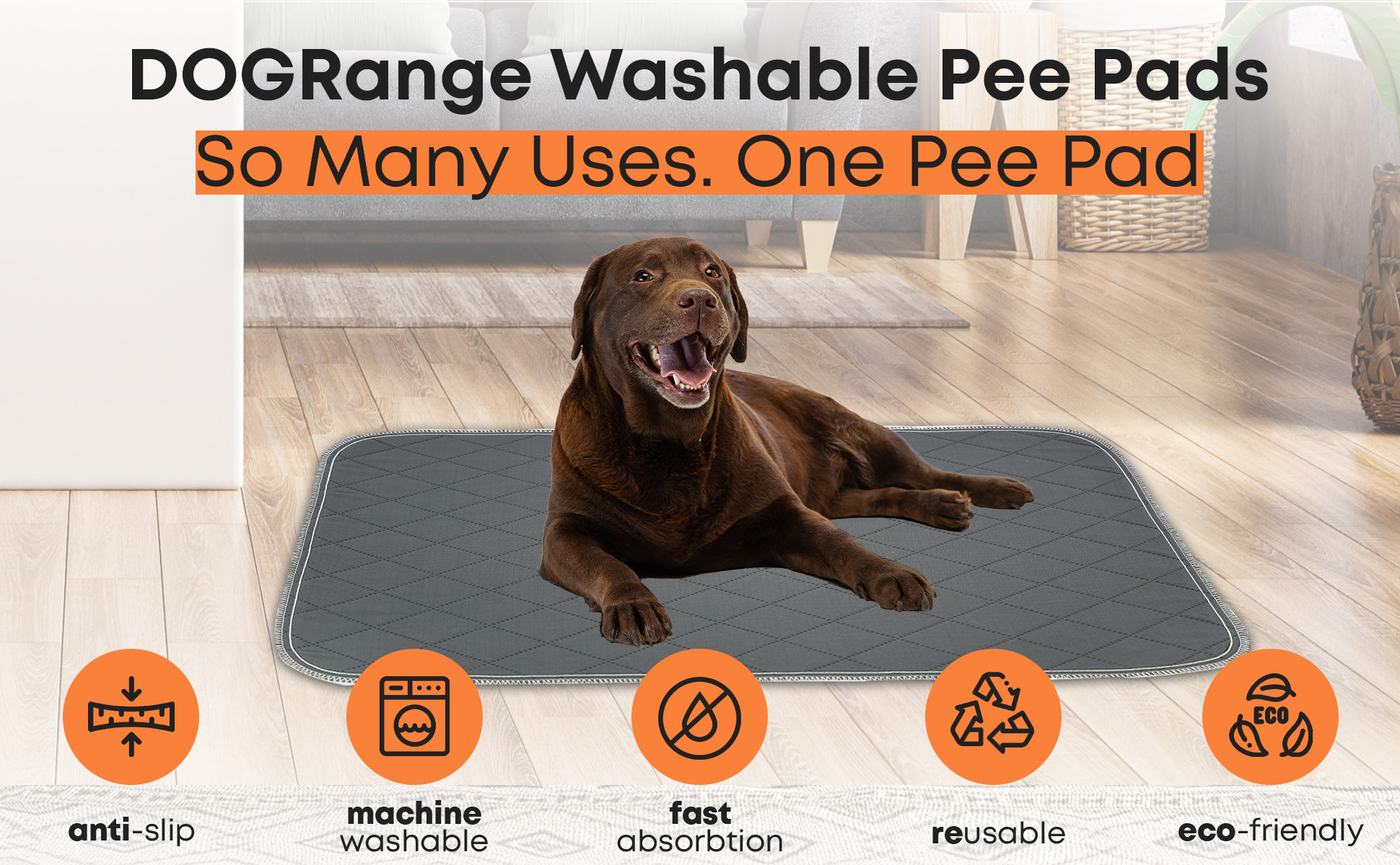 Amazon.ca DogRange Reusable Dog Pee Pads
