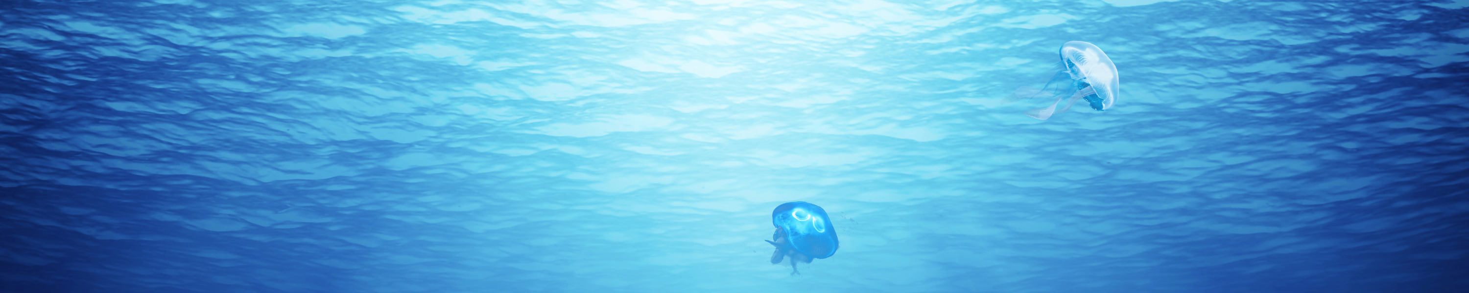 COLORLIFE JELLYFISH LAMP