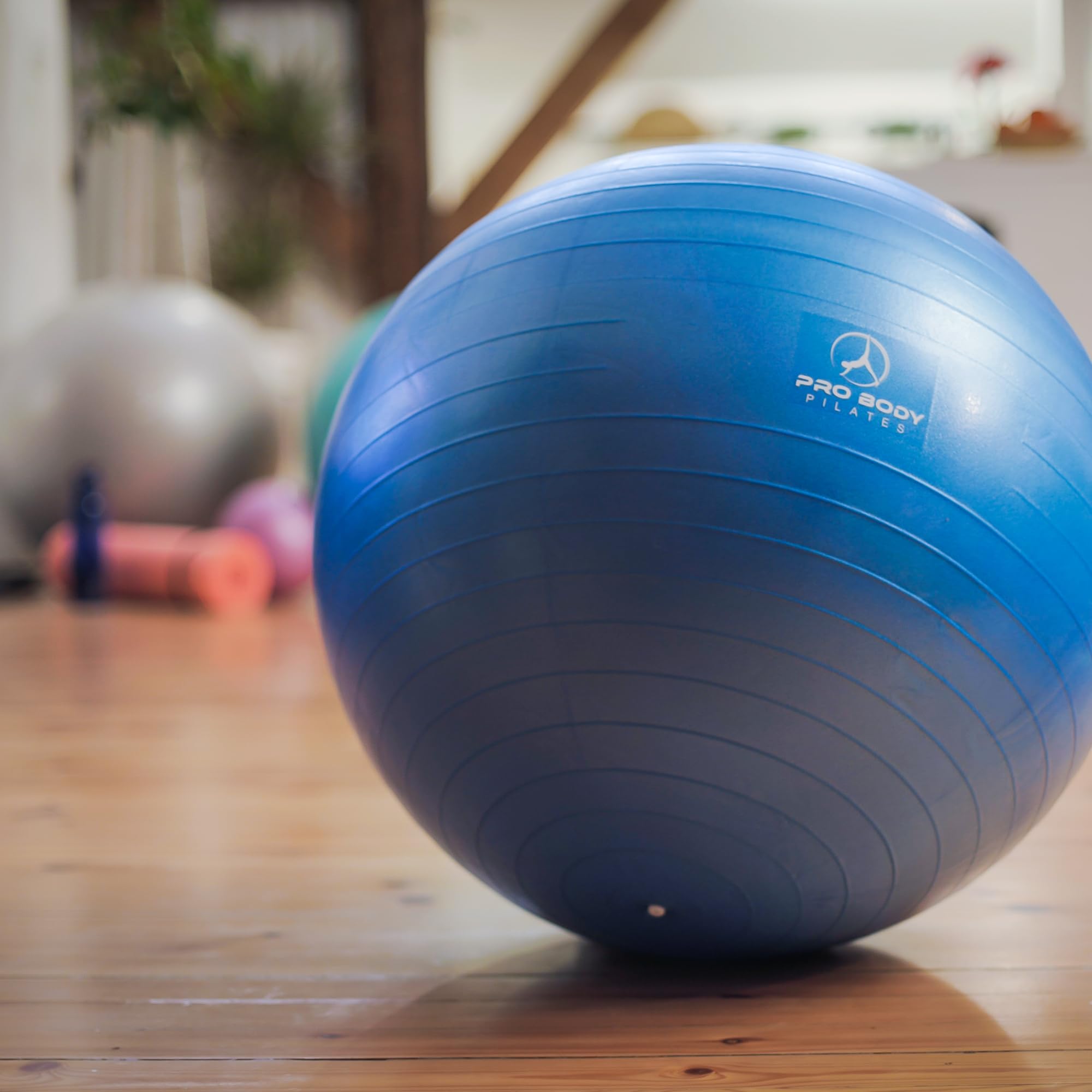 ProBody Pilates® Exercise Balls