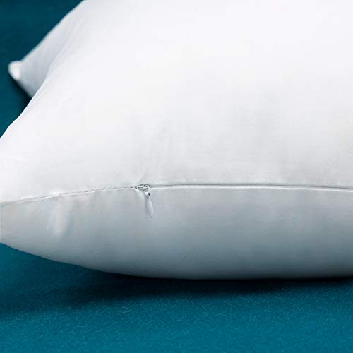 Warmwithann Cotton Fabric Plump Throw Pillow Inserts, Set of 2 Down Alternative Decorative Pillow Inserts - Image 5