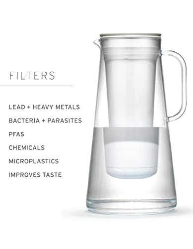 LifeStraw Home – Water Filter Pitcher, 7-Cup, Obsidian, BPA Free Designed for Everyday Protection Against Bacteria, parasites, microplastics, Lead, Mercury, PFAS, and a Variety of Chemicals - Image 3