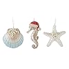 Delton Beach Coastal Christmas Tree Ornaments, Set of 3 Starfish, Clam Shell, Seahorse 41z ee oiuL. SS100