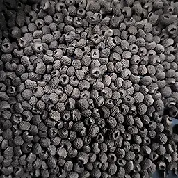 Thungbergia Grand Clock Vine Creeper Mix Color | Flower Seeds