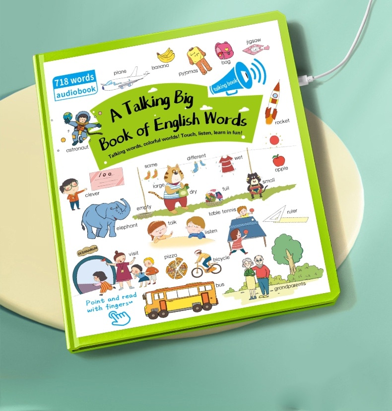 Buy Talking Book of English Words, 718 Words, 25 Themes,Audio Learning ...
