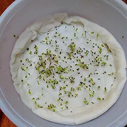 Daisy Double White Seeds (Gulbahar/गुलबहार का बीज)