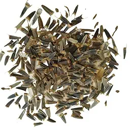 Tithonia Orange Flower Seeds