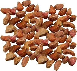 Climbing Rose Plant Seeds | Flower Seeds