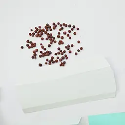 Brussels Sprouts Seeds (ब्रसेल्स स्प्राउट्स के बीज)