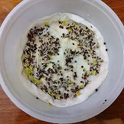 Collard Green Microgreen Seeds