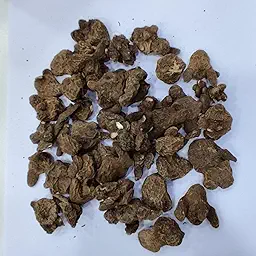 Anemone Governor Flower Bulb