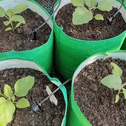Drip Irrigation Kit for 30 Plants : Efficient and Easy Gardening