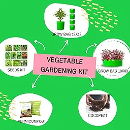 Easy Vegetable Gardening Kit for Home Garden