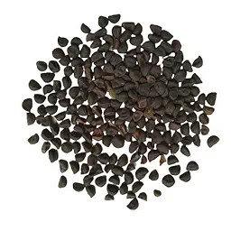 Morning Glory Ipomoea Creeper Any Color Flower Seeds