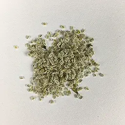 Nemesia Carnival Mixed Colors Flower Seeds