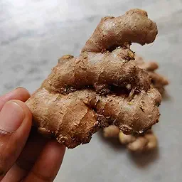 Ginger (Adrak) Rhizome/Root/Seeds For Planting/Growing/Sowing (400 g)