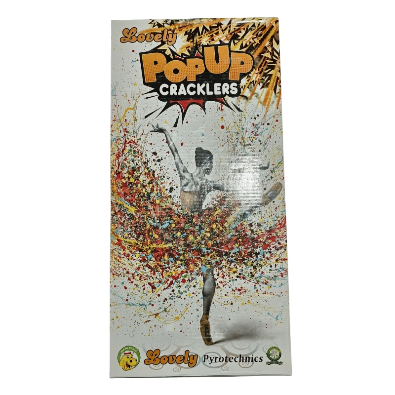 N*K様 THE CRACKERS GUARANTEED LP　パワーポップ　p Lovely Popup Cracklers – 2 Pcs