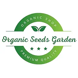 Organic Green Capsicum Seeds - Open Pollinated