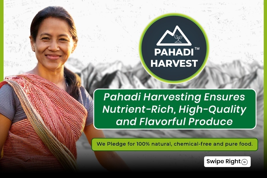 Shop online for Pahadi Harvest from Pahadi Harvest