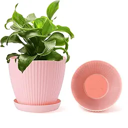 7-Inches Flower & Plant Pot for Indoor Outdoor Use, with Water Drain Plate (Pack of 5)