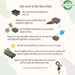 Chilli-Pepper Jalapeno M-Bullet Type Seeds (Mirch/ मिर्च के बीज)