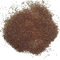 Petunia Grandiflora Mixed Color Flower Seeds