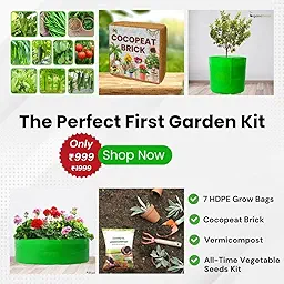 Easy Vegetable Gardening Kit for Home Garden