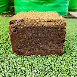 Cocopeat 1 kg Block For Kitchen Garden and Terrace Gardening