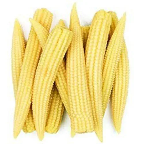 Baby Corn Seeds | Vegetable Seeds