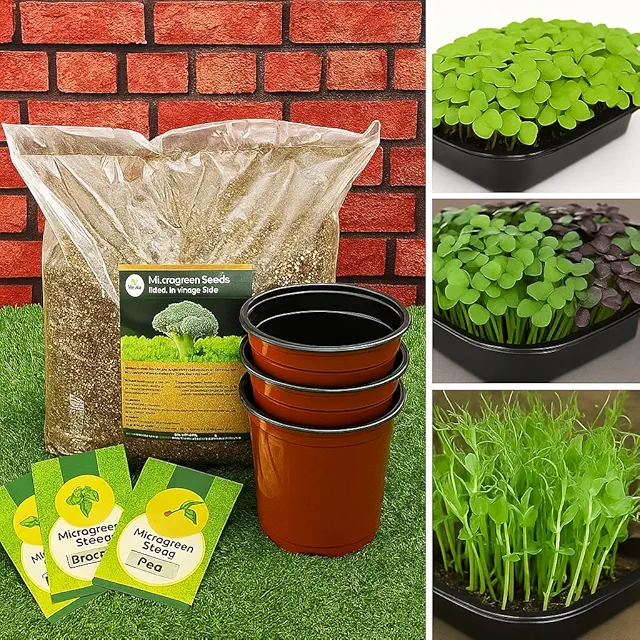 Best 3 Microgreen Seeds - Kitchen Garden Pack (Broccoli, Radish, and Pea microgreens)