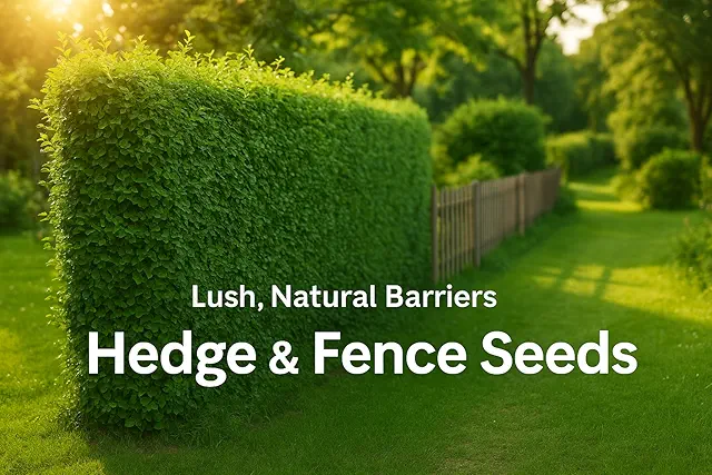Hedge/Boundary/Fence Seeds