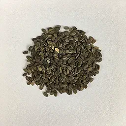 Phlox Beauty Red Color Flower Seeds