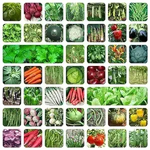 ORGANIC 45 Variety Of Vegetable Seeds With Instruction Manual