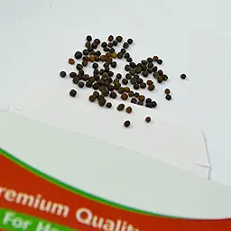 Curly Kale Seeds (केल के बीज)