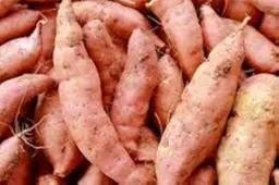 sweet potato
