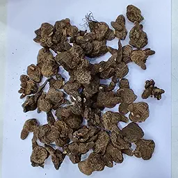 Anemone Mount Everest Flower Bulb